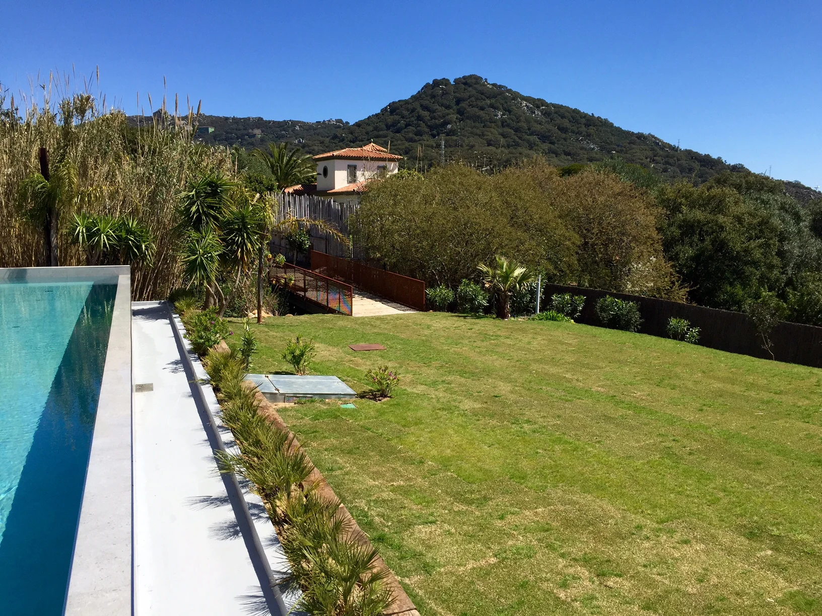 garden.jpg