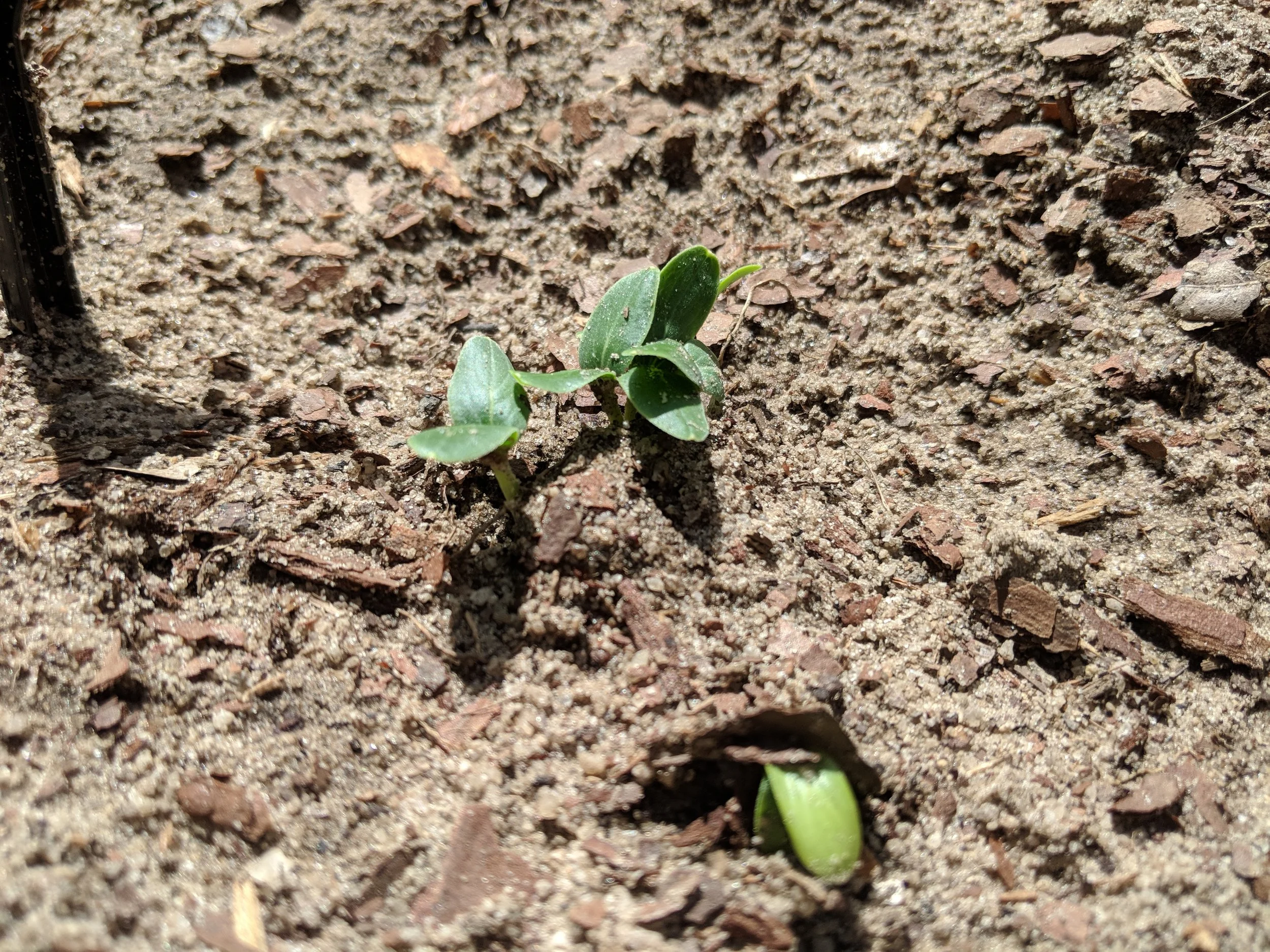 April 25th, 2018