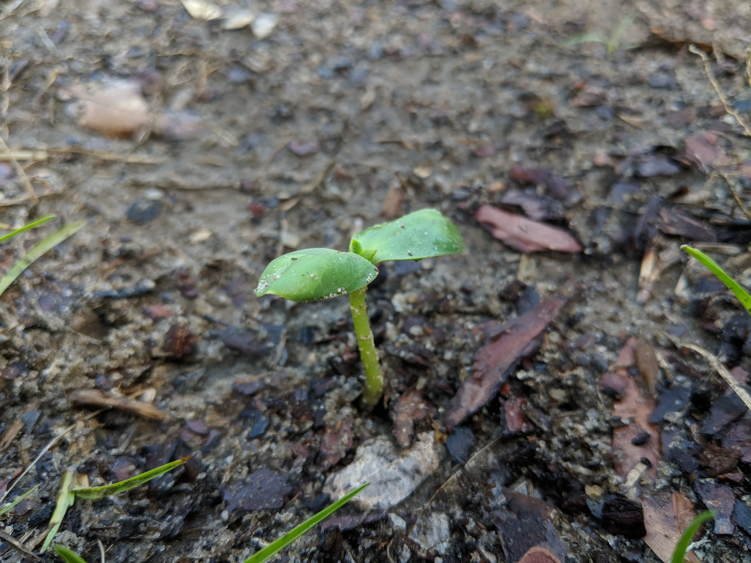 May 5th, 2018