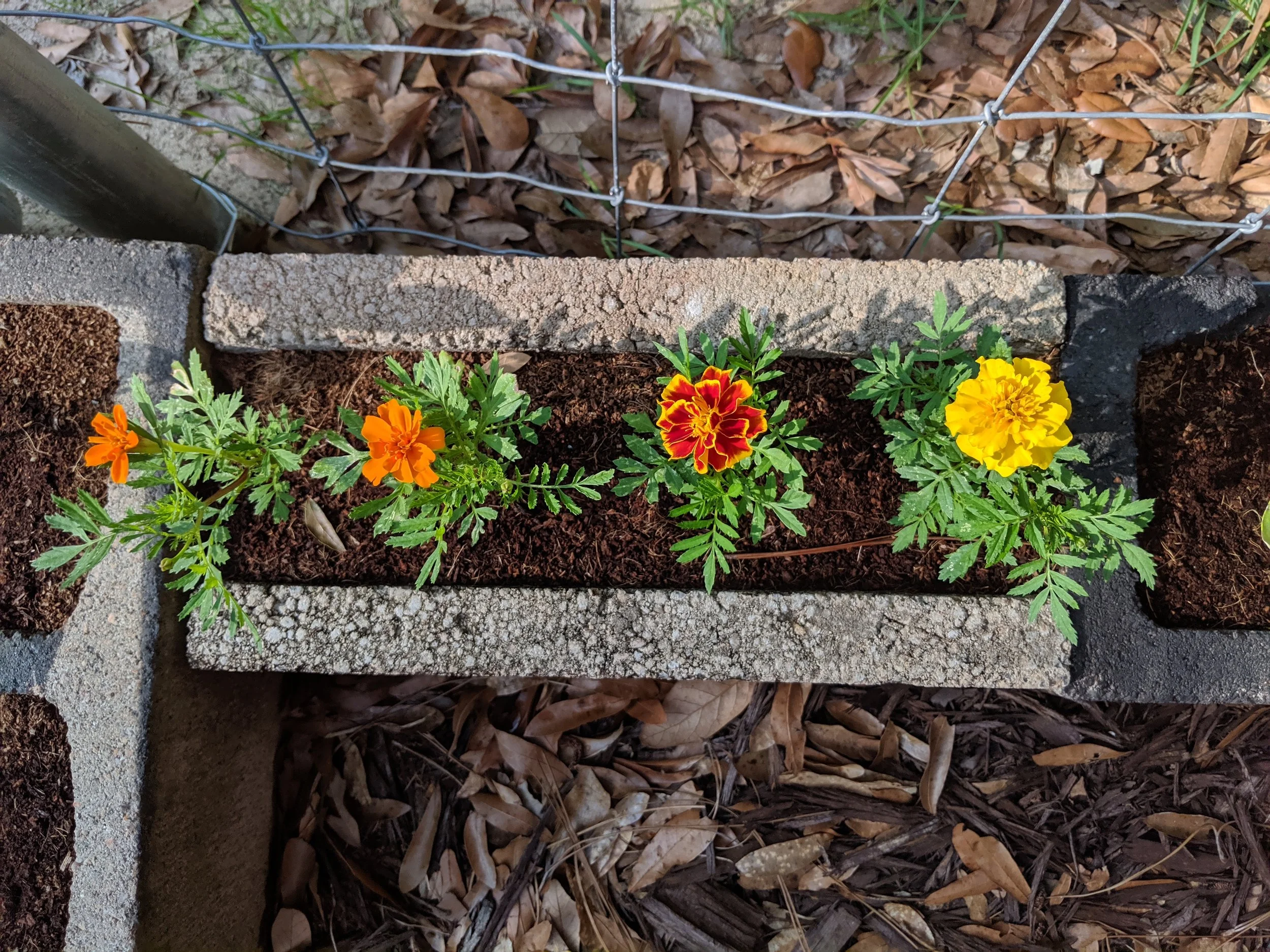 May 9th, 2019