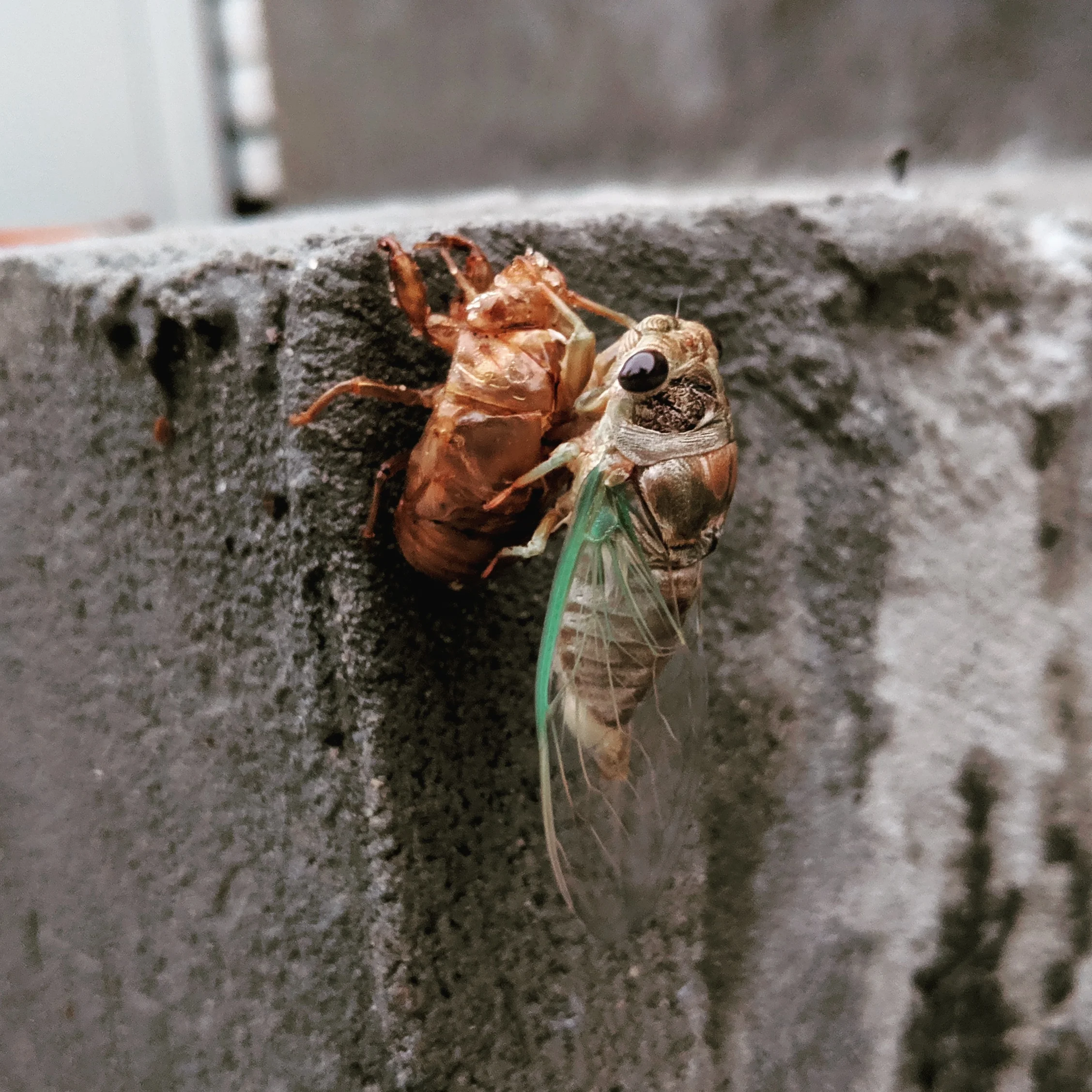 August 15th, 2019