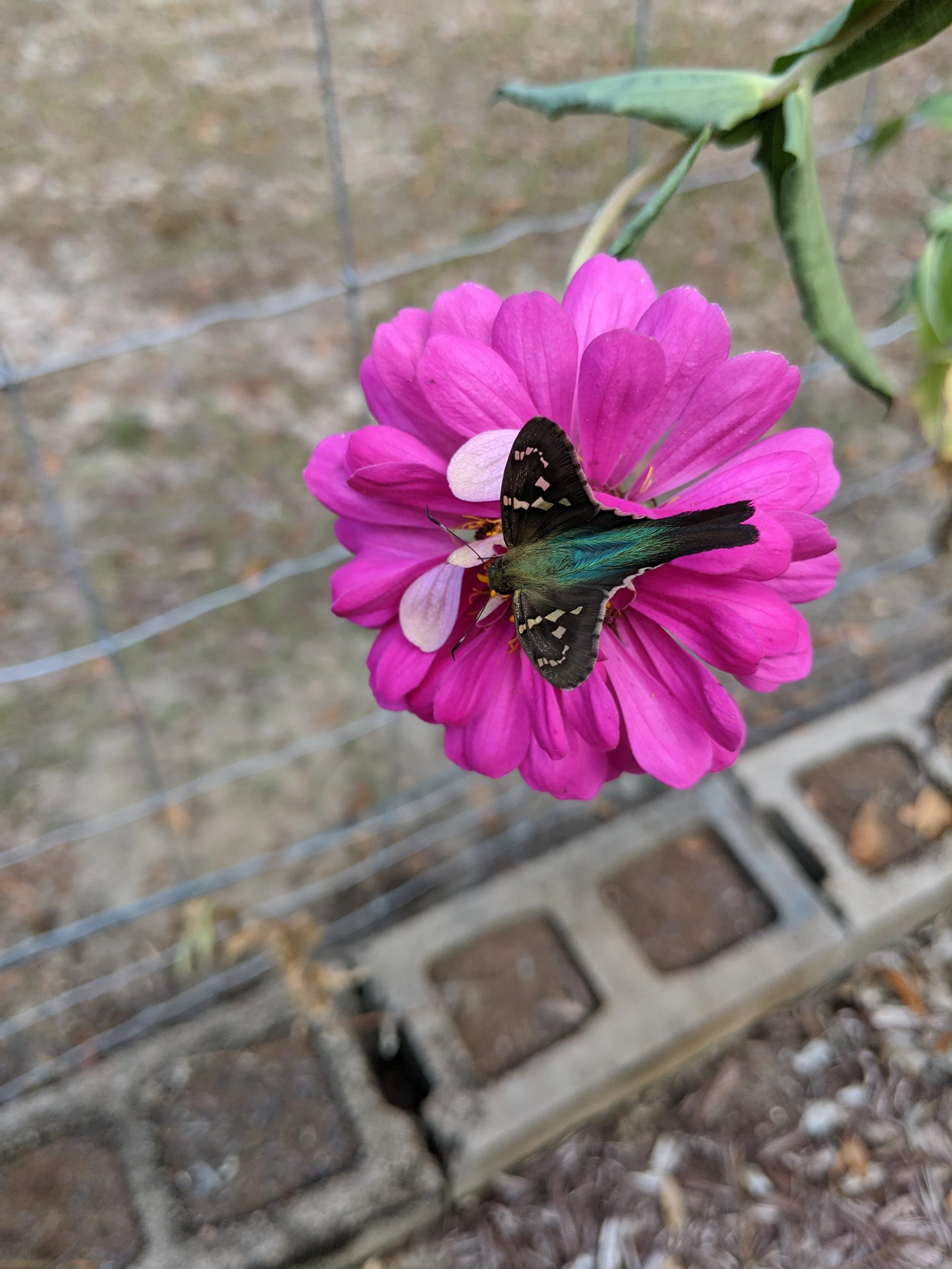 October 5th, 2019