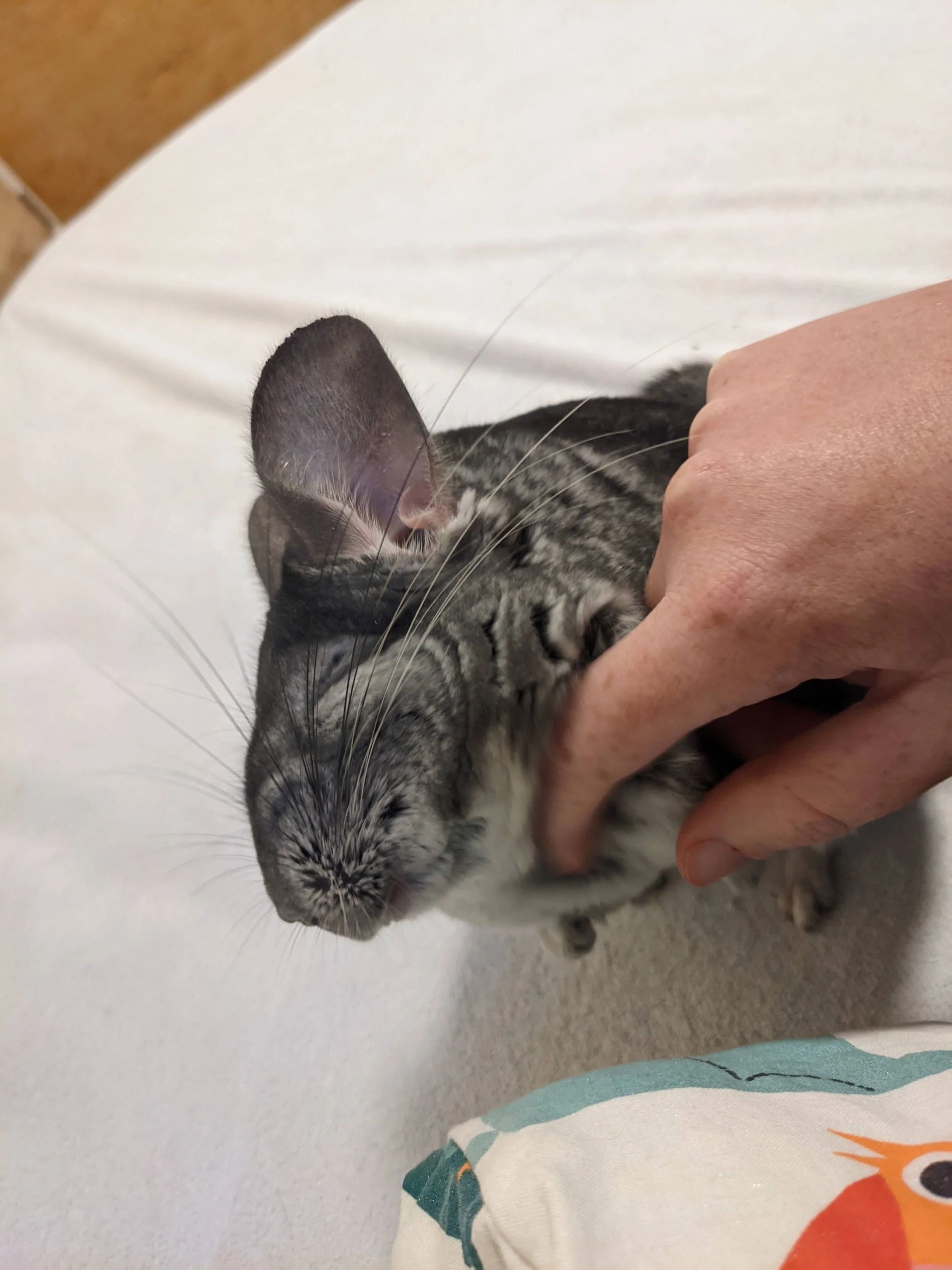 September 29th, 2020