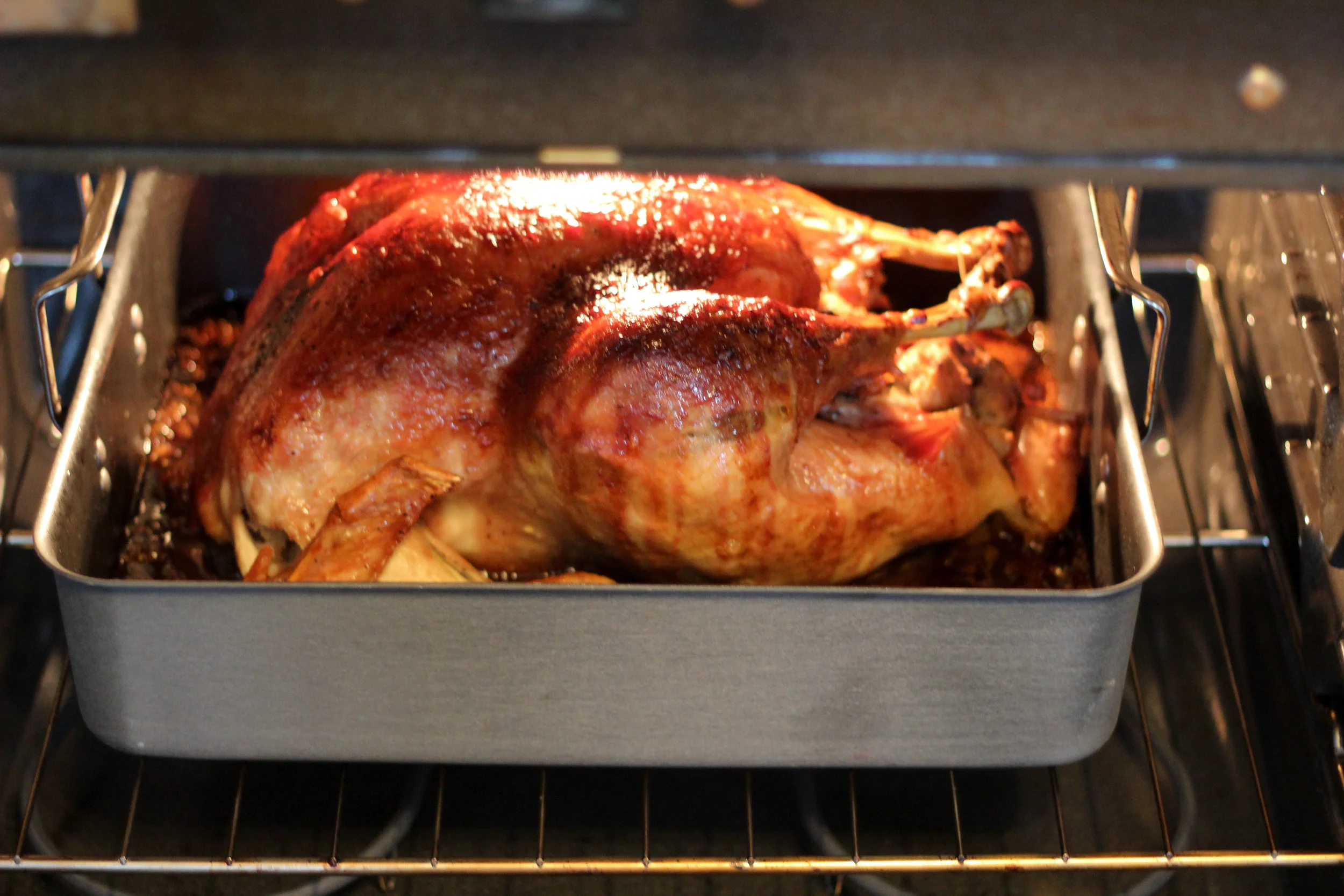 thanksgiving 2013 turkey-3562.jpg