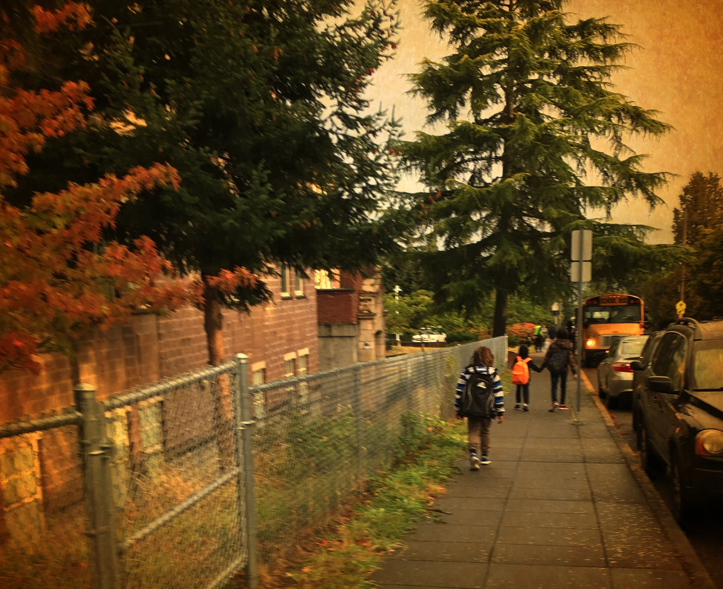 Photo by  Matt Halvorson