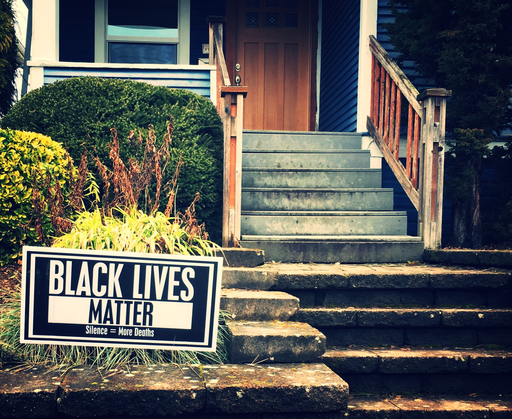  "Black Lives Matter"  "Silence = More Deaths"  #blacklivesmatter  