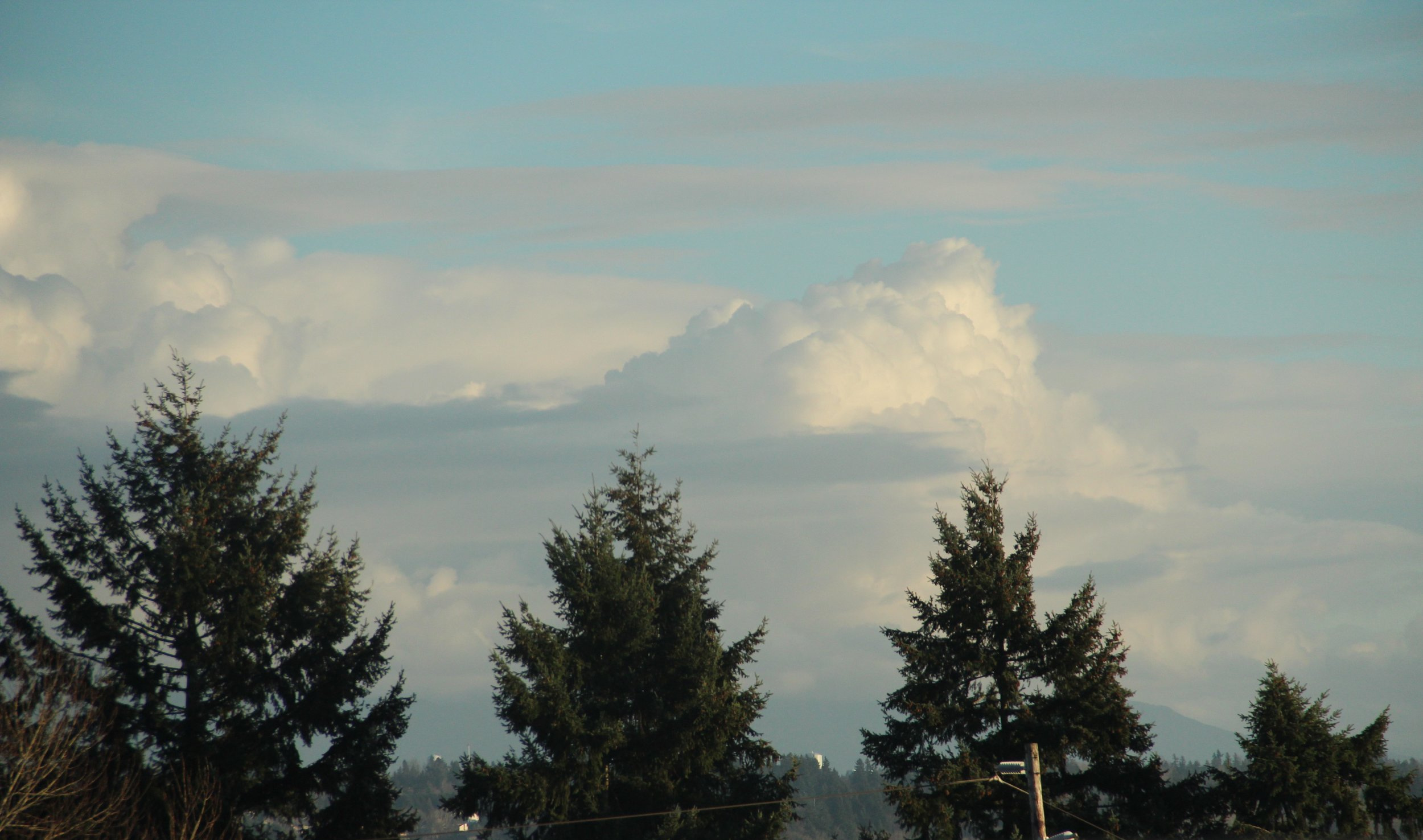 Odds and Ends: Mandatory acceleration, land acknowledgment, step-parenthood, and more...