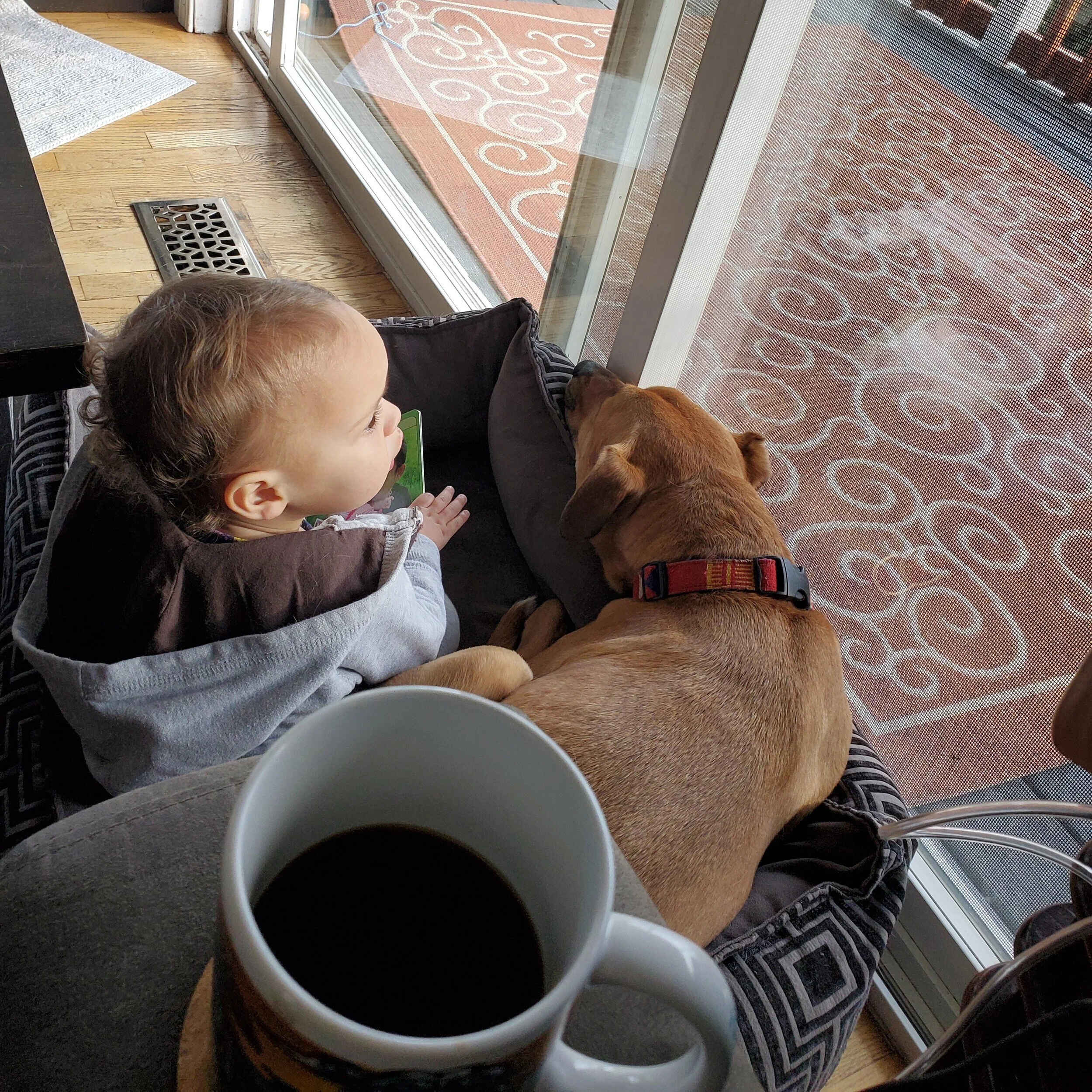 coronavirus quarantine reading time.jpg