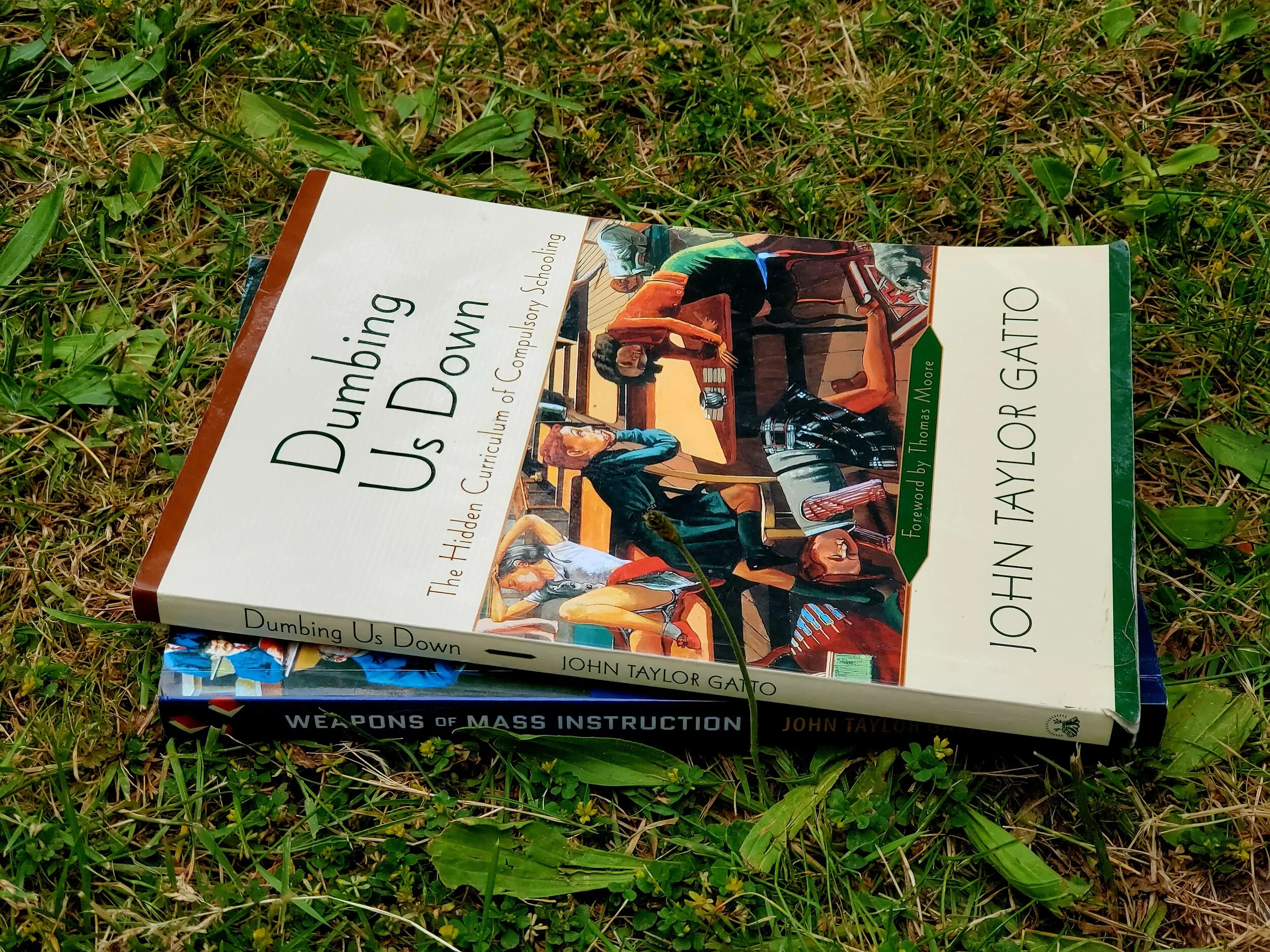 A short list of books and ideas for parents to consider as we plan for another COVID-impacted school year