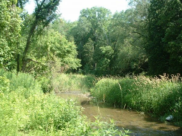 Rouge Valley National Park