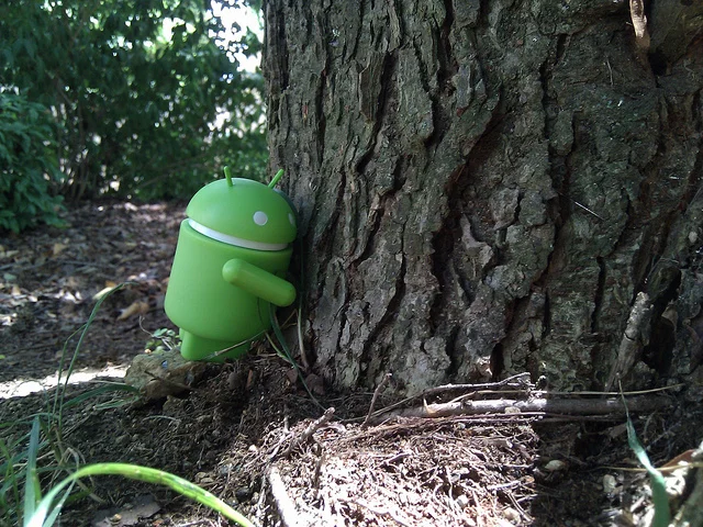 My Prophet was a Tree-Hugger, and so am I