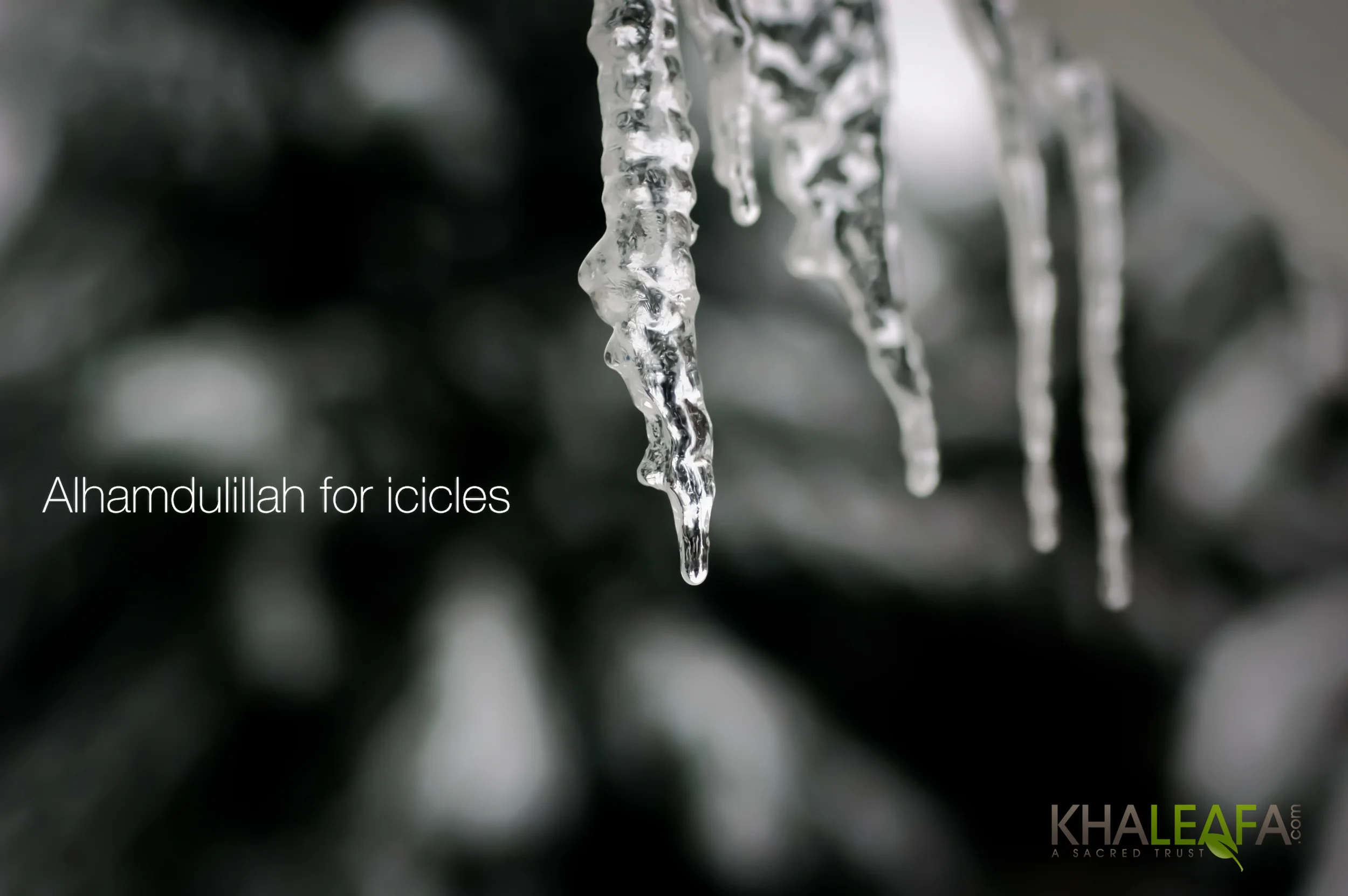 Alhamdulillah for Icicles
