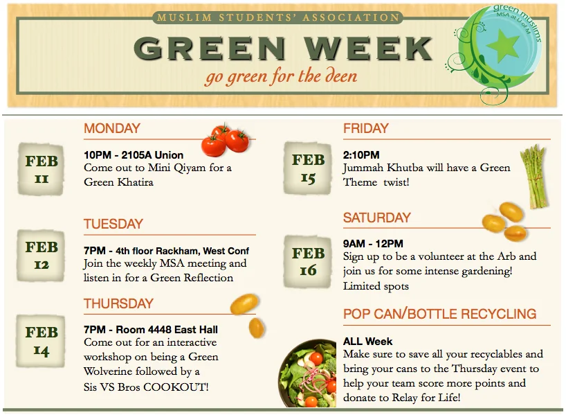 How We Began a Green Movement at our Muslim Students Association