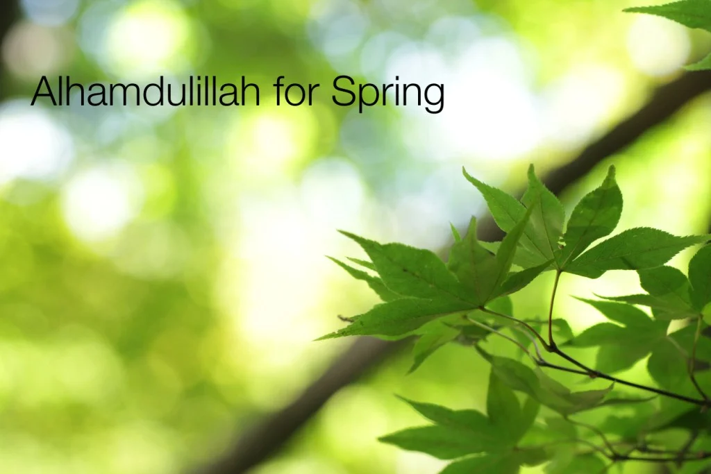 Alhamdulillah for Spring