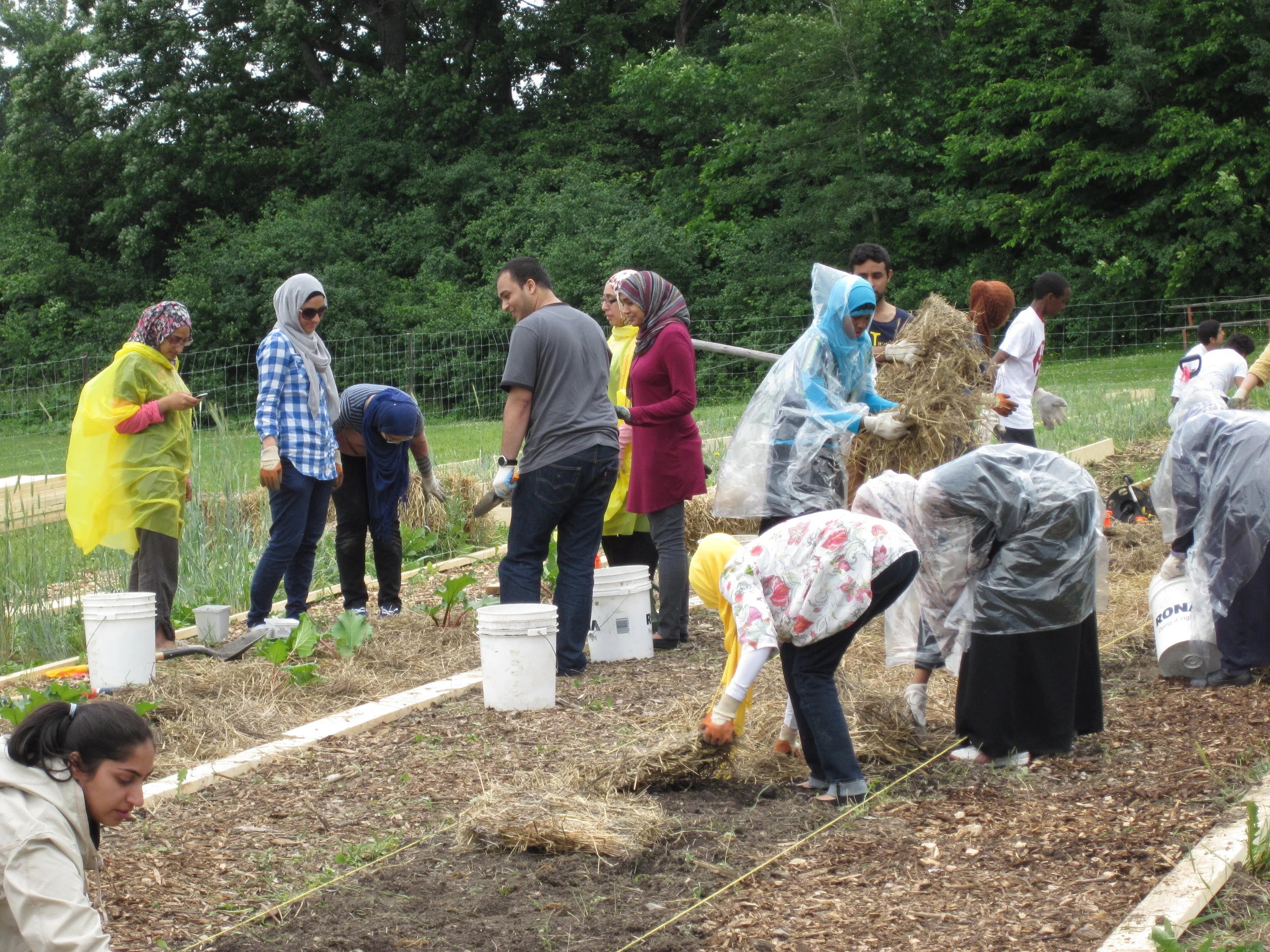 Islamic Gardens in the UK