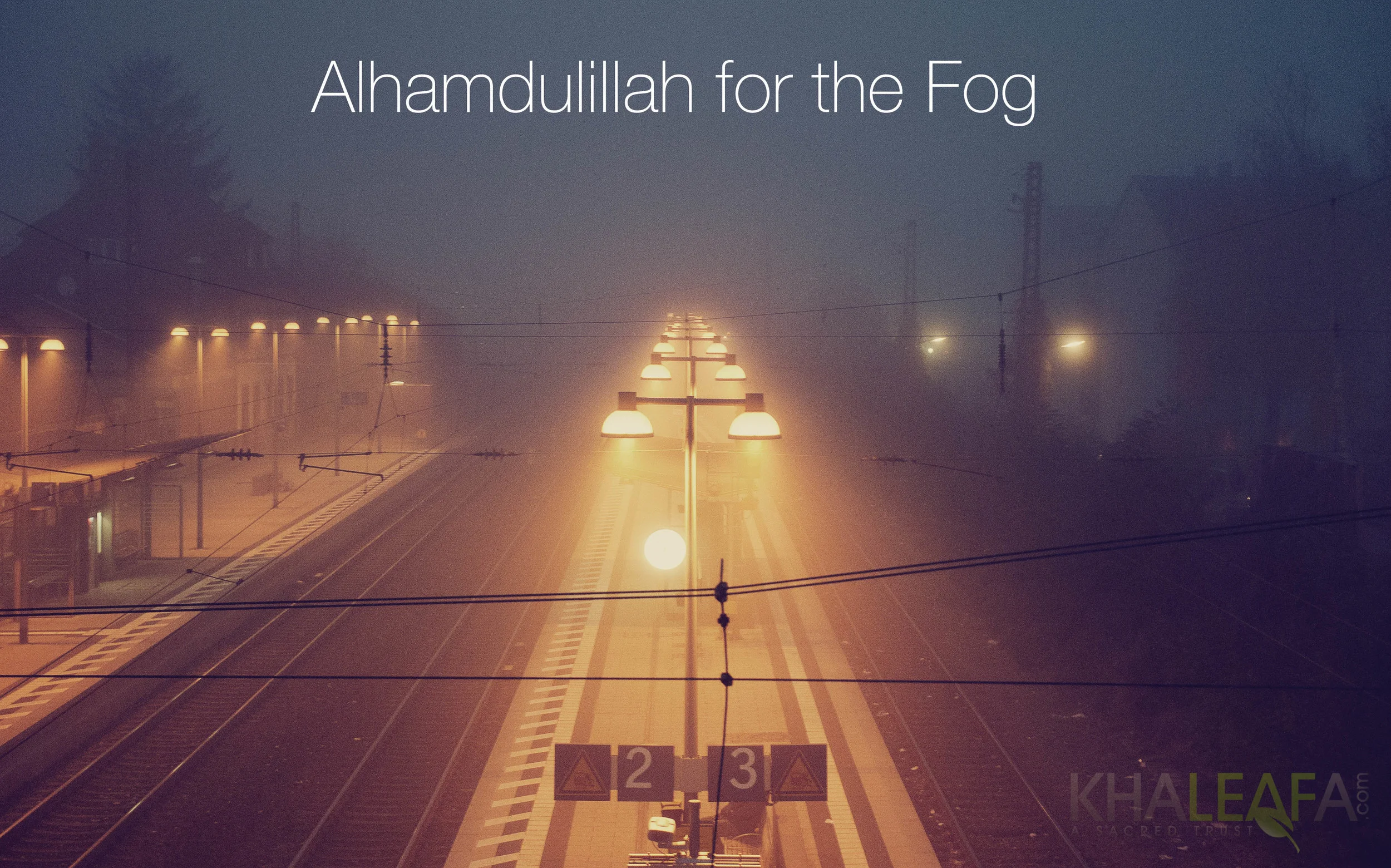 Alhamdulillah for the Fog