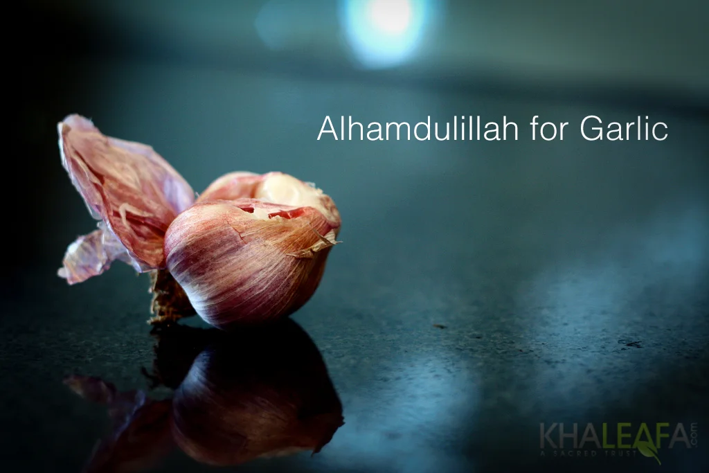 Alhamdulillah for Garlic