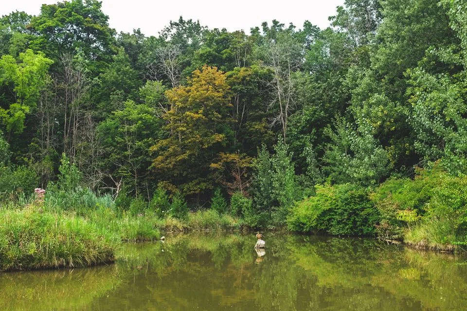 The Value of Trees in Islam