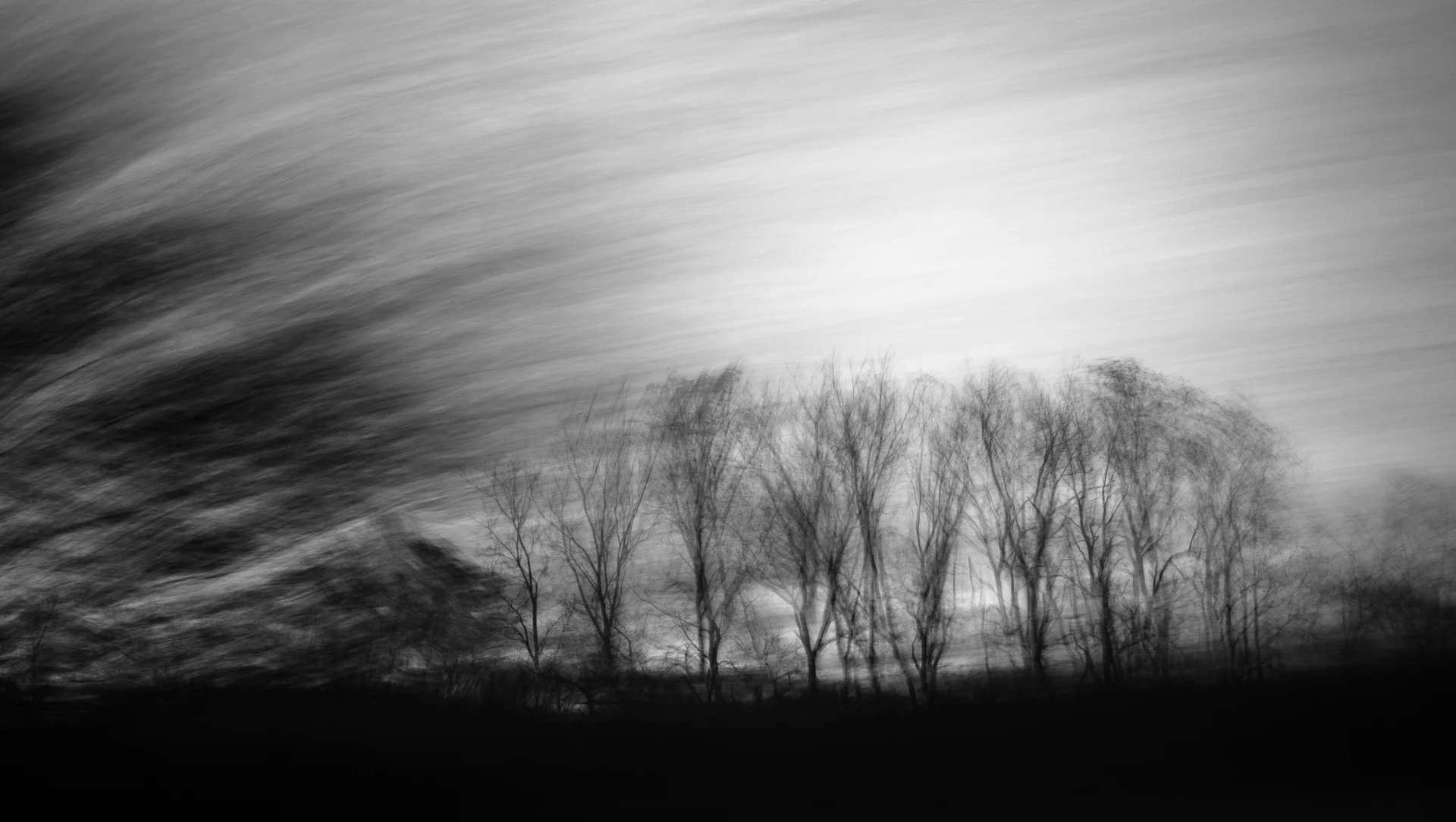 BW_Abstract-005.jpg