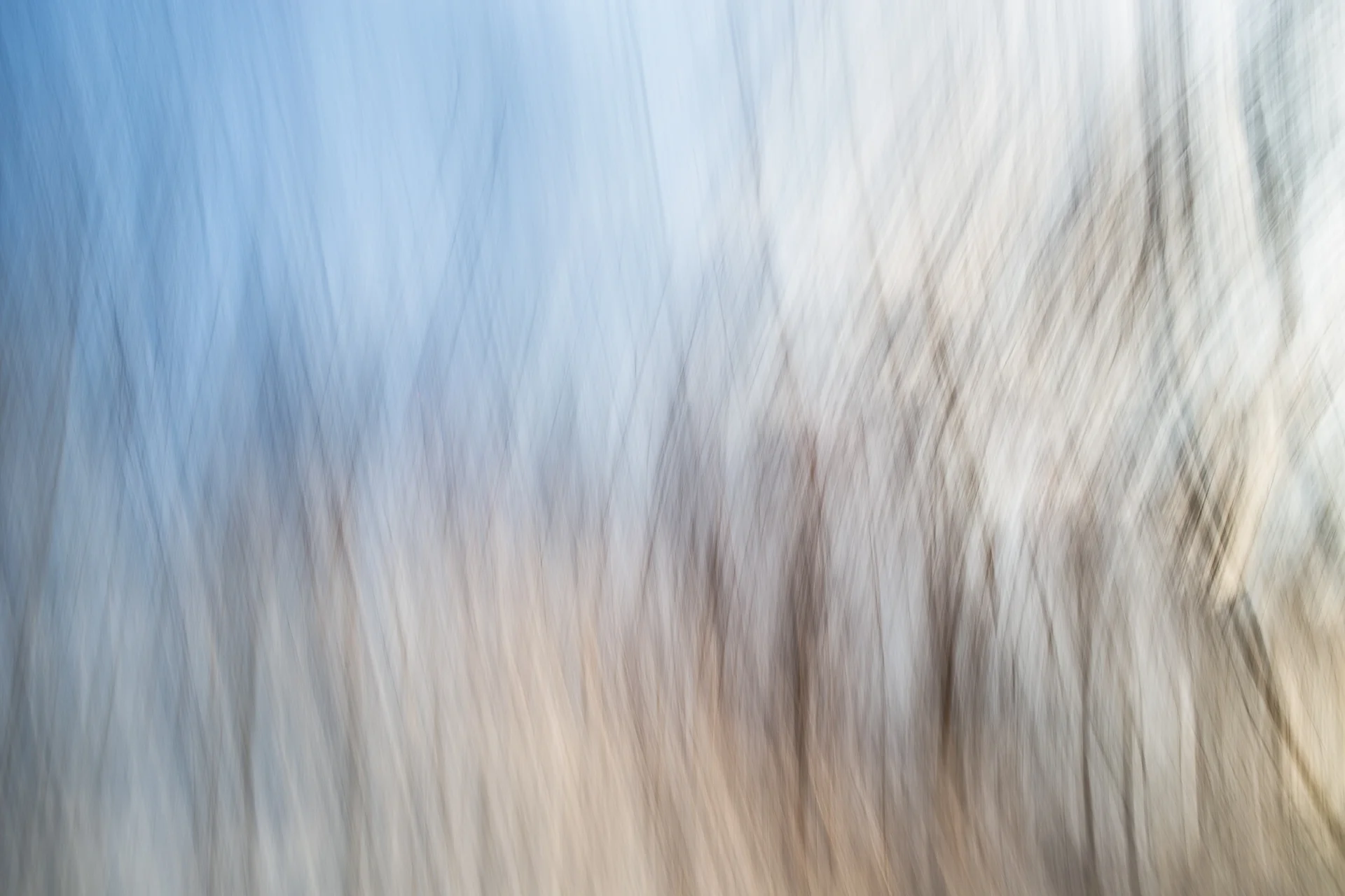 51-WinterColors.jpg