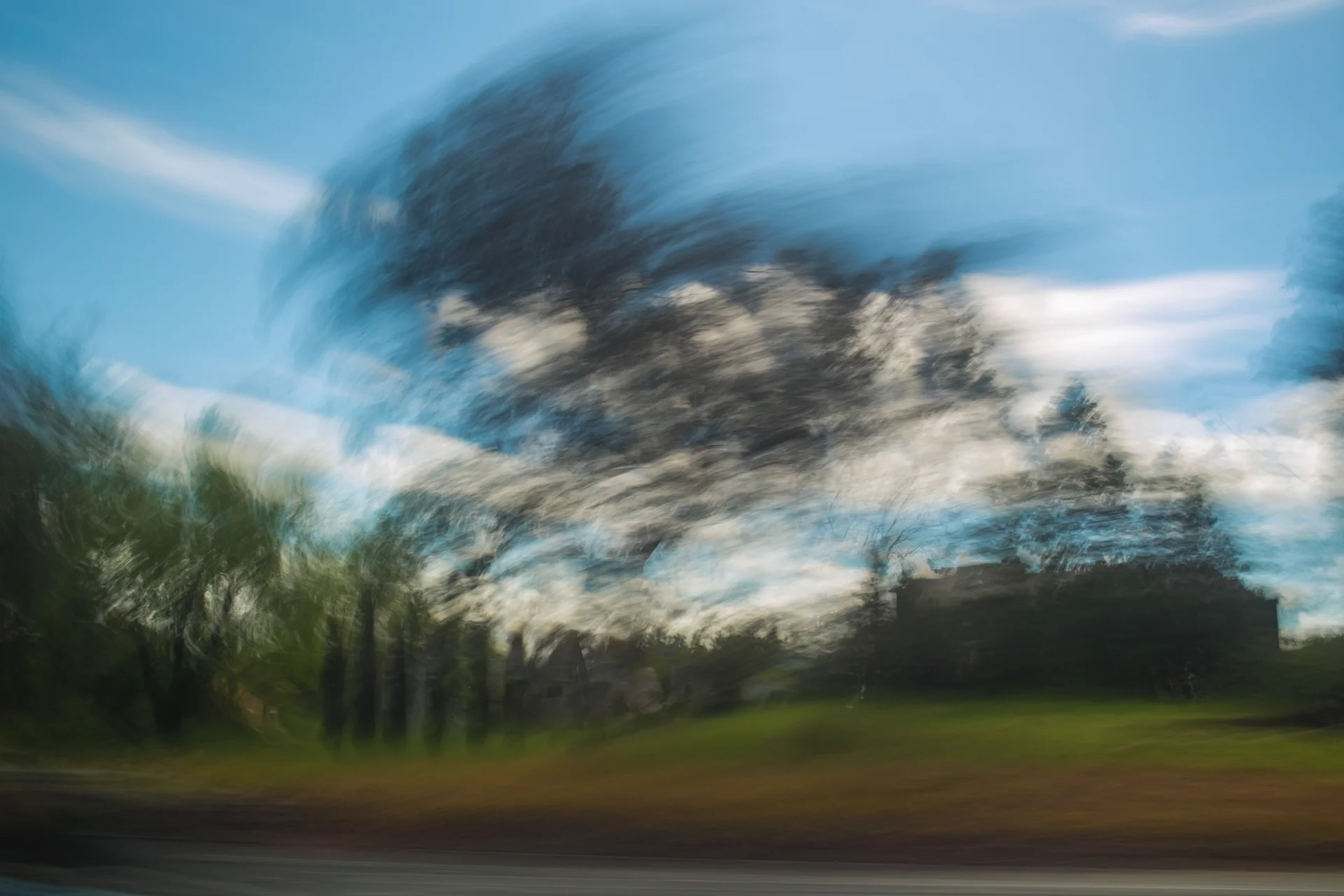 54-CaliforniaLandscape2017.jpg