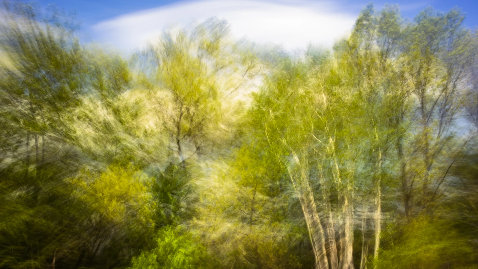 69-NewEnglandLandscape.jpg