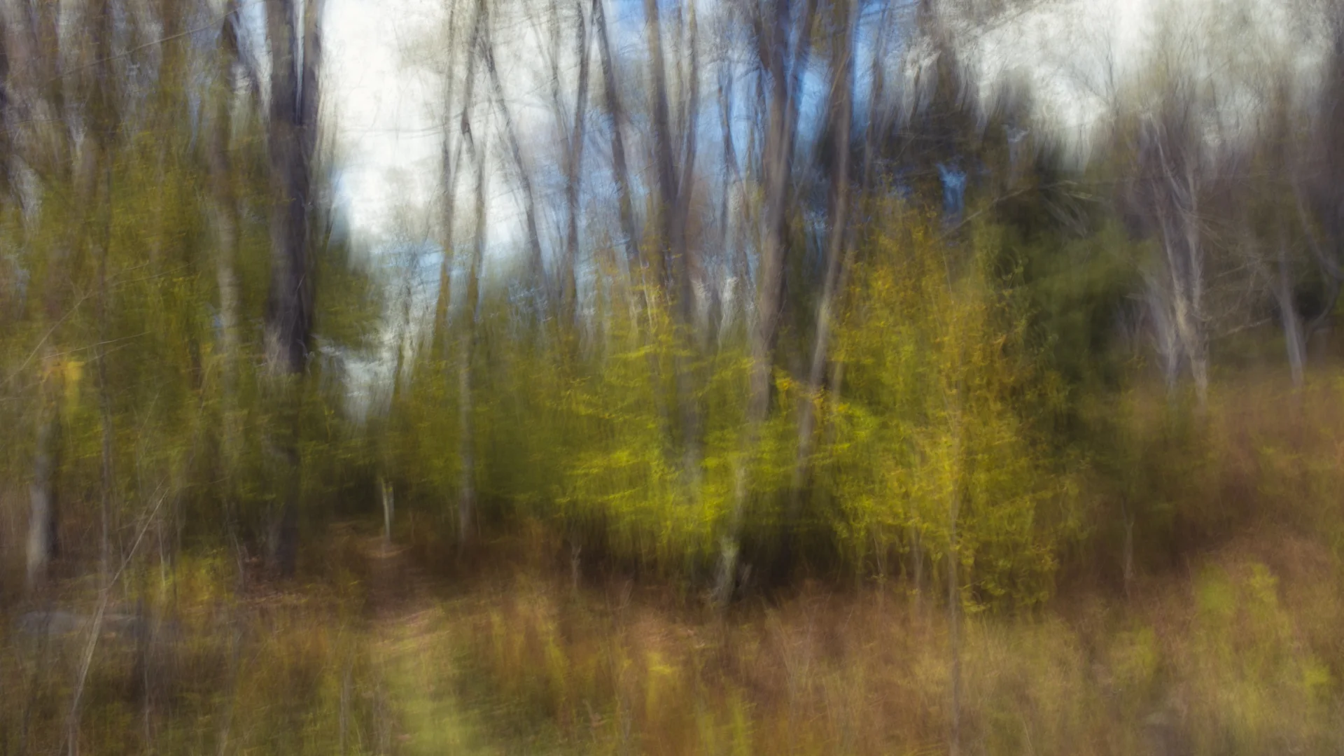 Quehanna-8.jpg