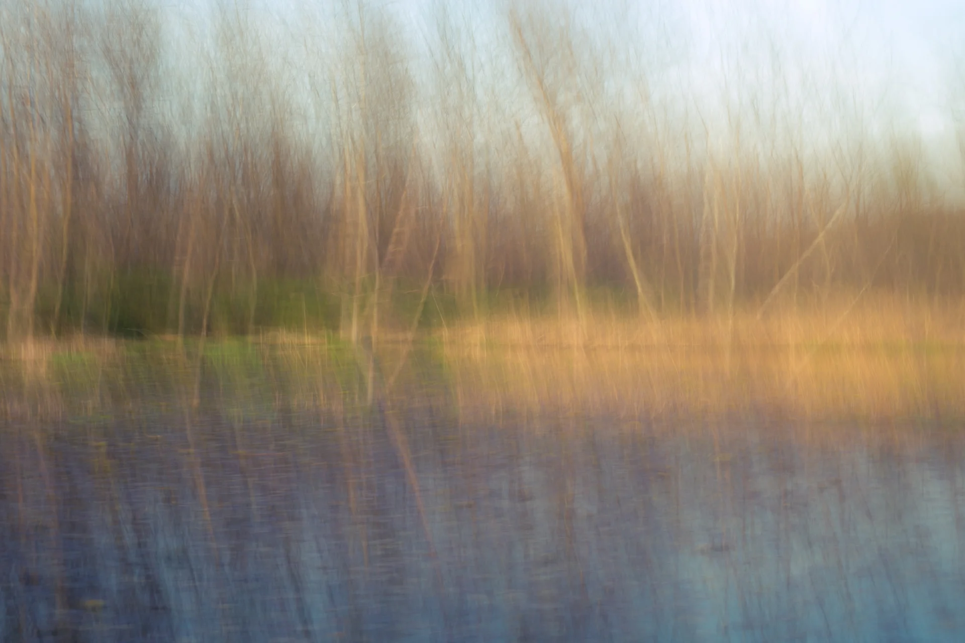 68-MarshWithLillypads.jpg