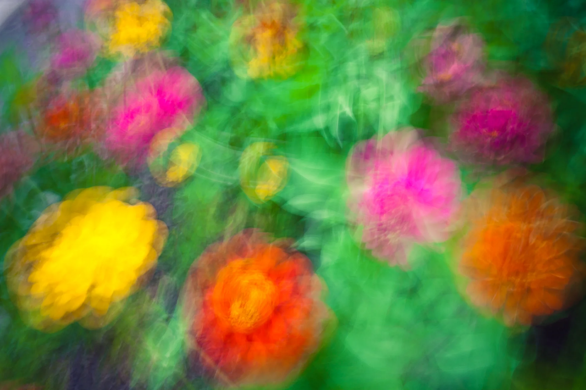 30-SummerFlowers.jpg