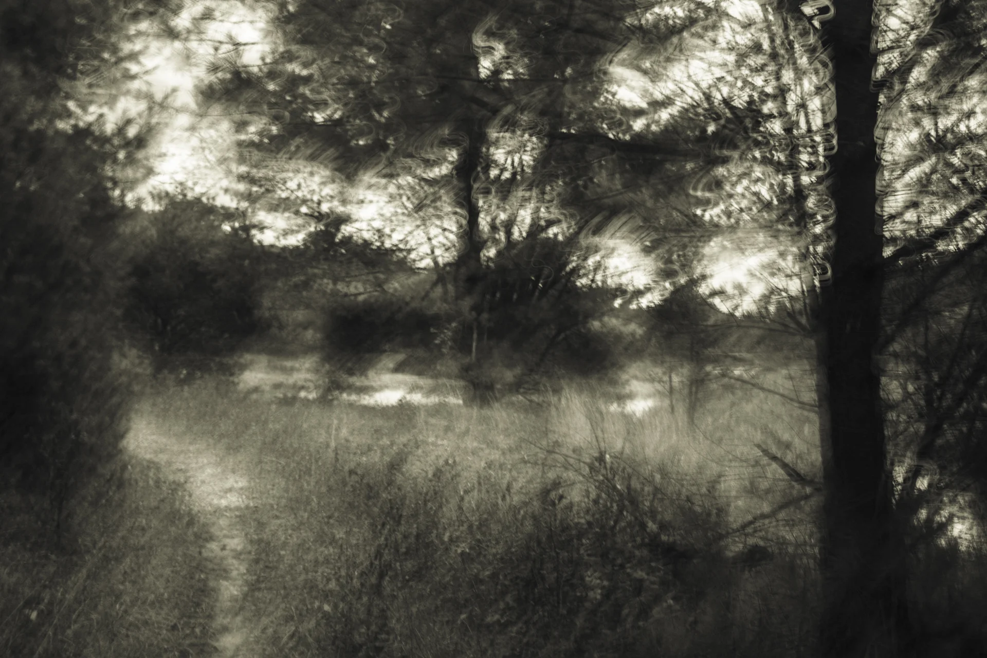Benezett-004.jpg
