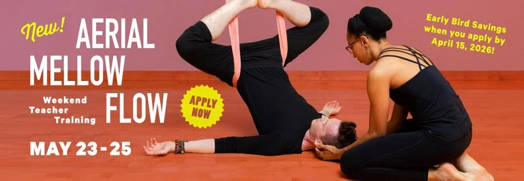 Aerial Mellow Flow Teacher Training 