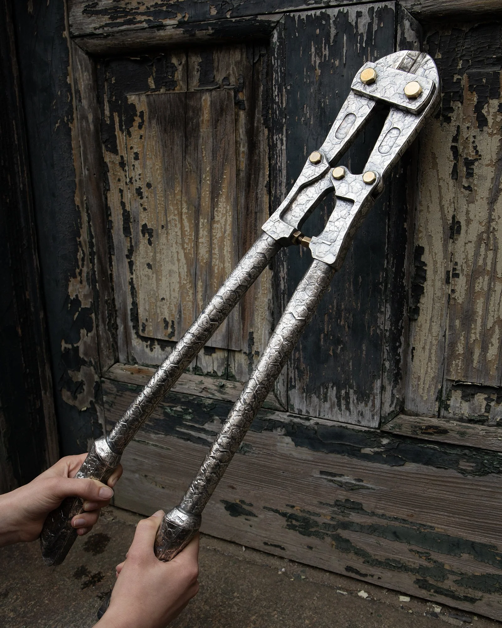SilverBoltCutters_9.jpg