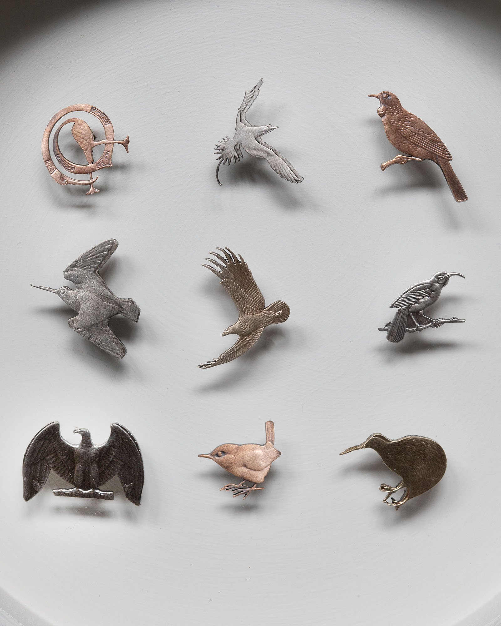 XS_BirdGrid_5.jpg