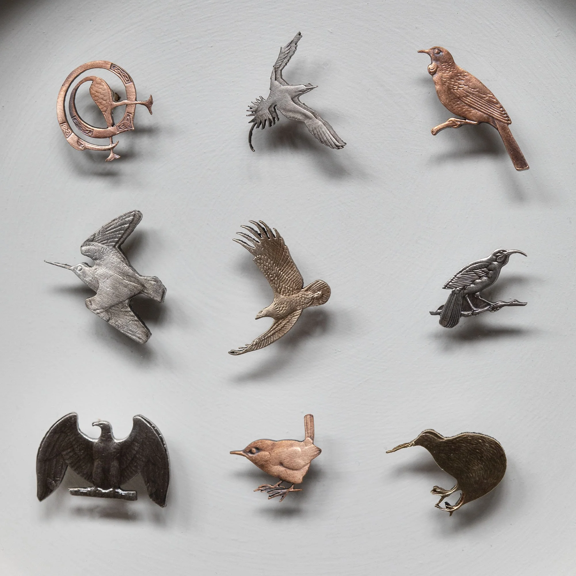 XS_BirdGrid_6.jpg