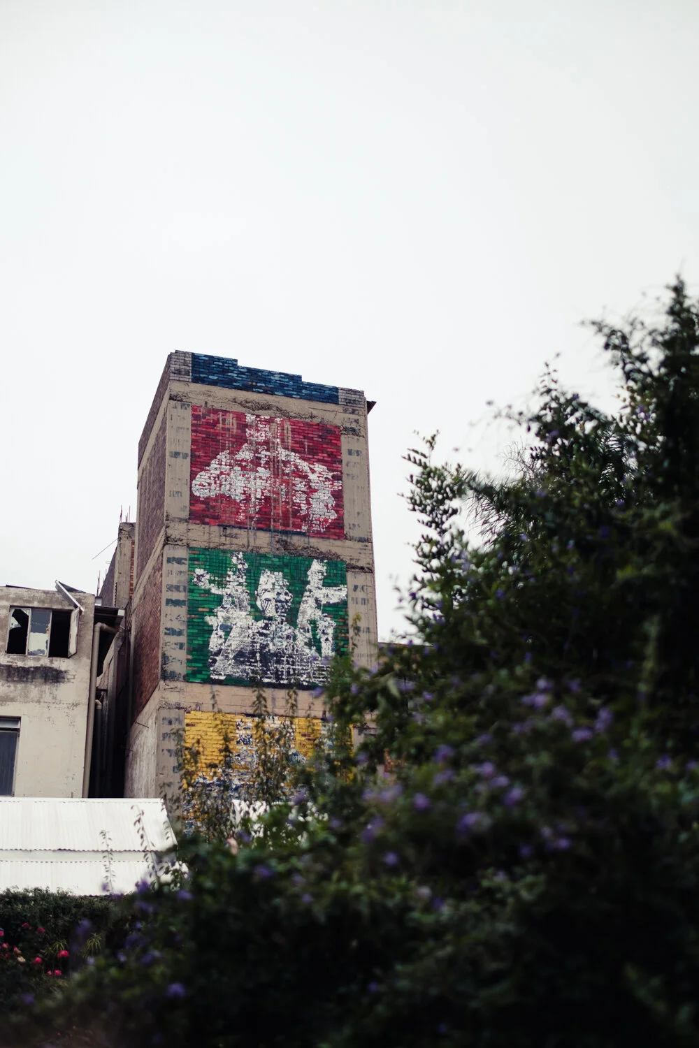DSCF3303.jpg