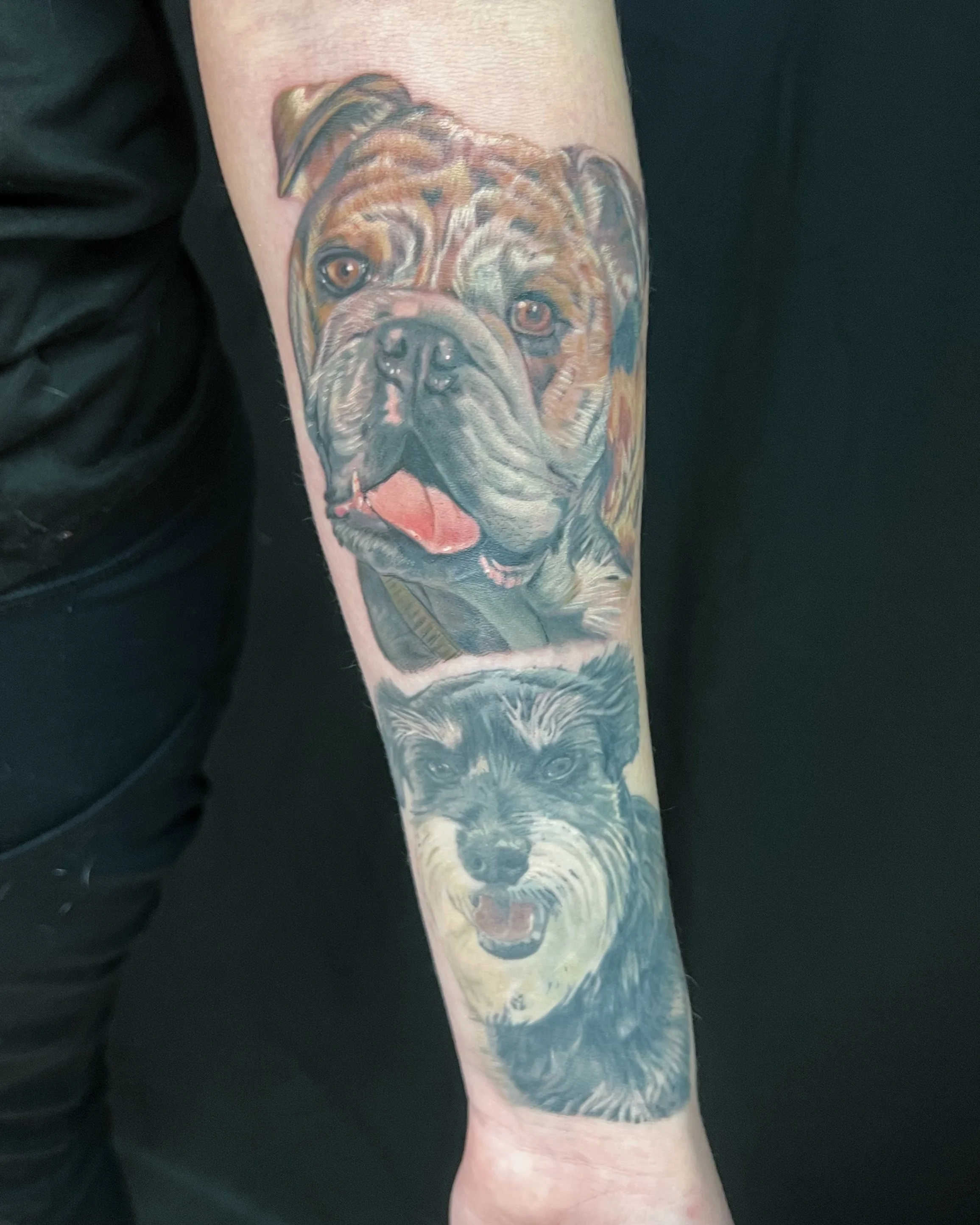 IMG_2262.jpeg