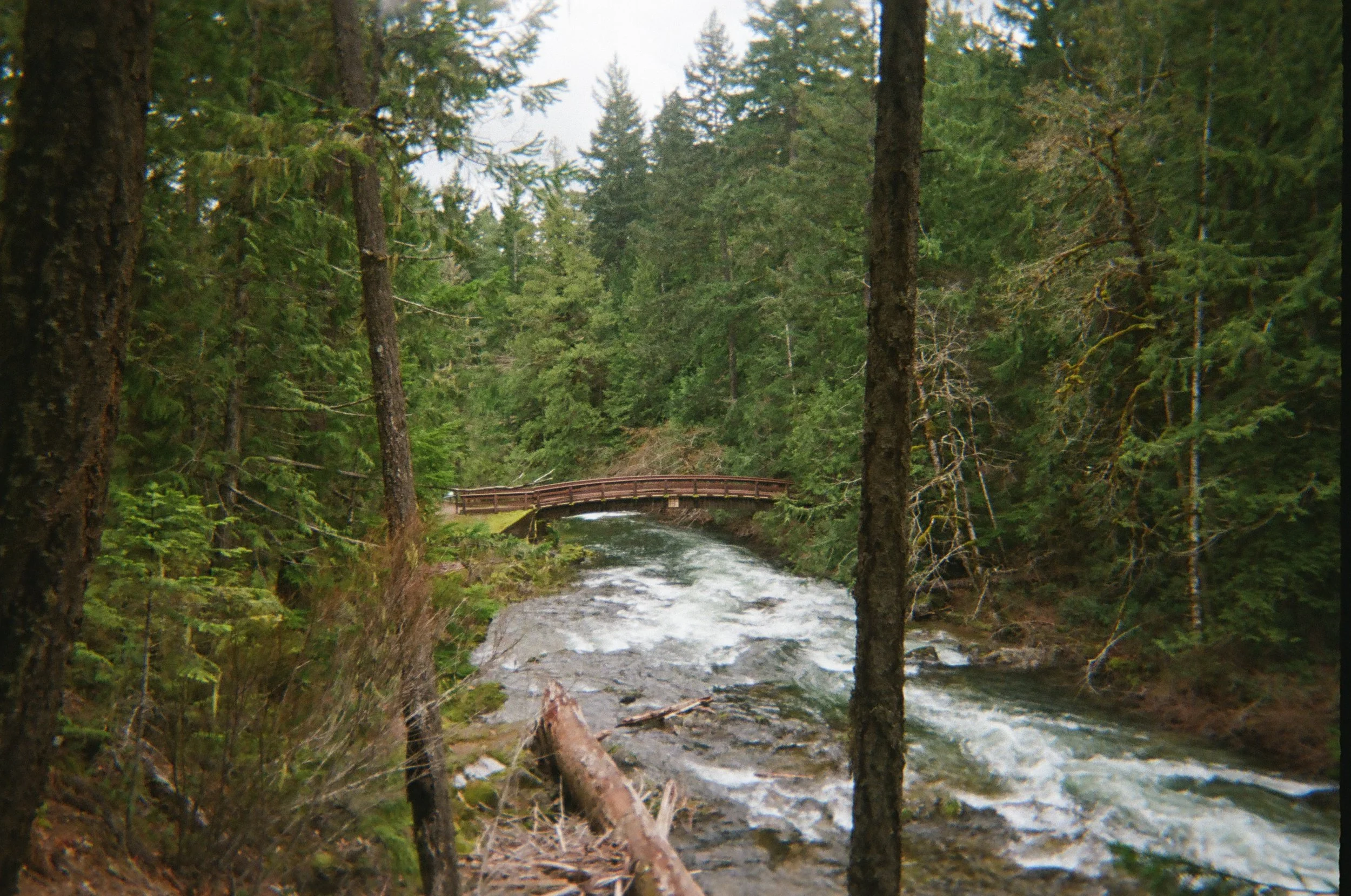 The Hidden Legacy of Intergenerational Trauma at Work