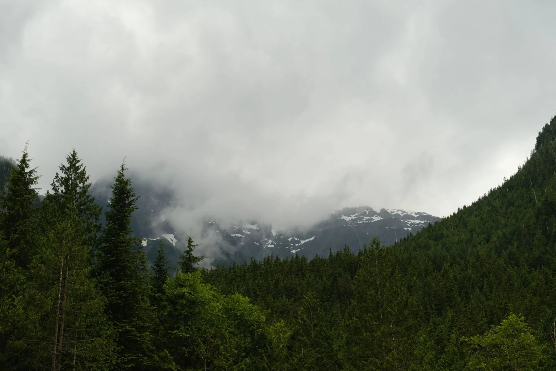 Epigenetics and the Workplace: How Stress Travels Across Generations