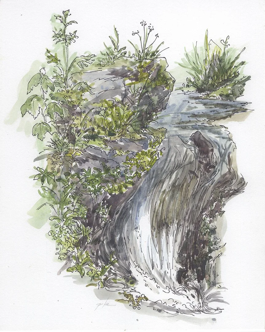Watercolor2021_1080px_12.jpg