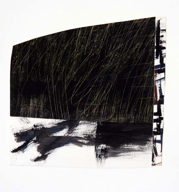 James Shay. Franz, Collage  8x13.jpg