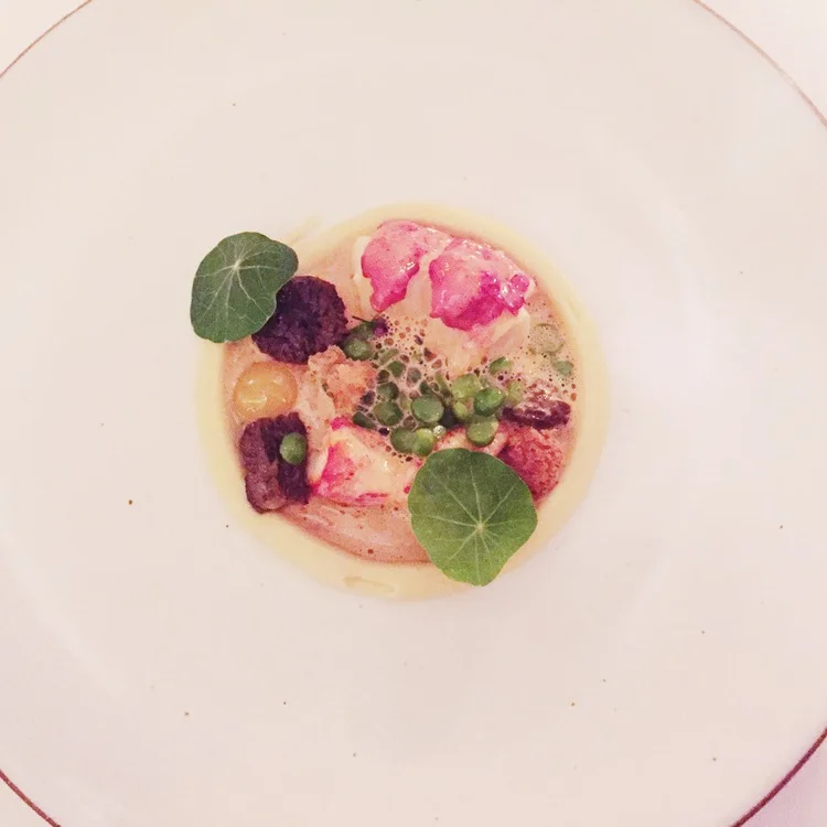 lobster, butter poached with morels and peas 