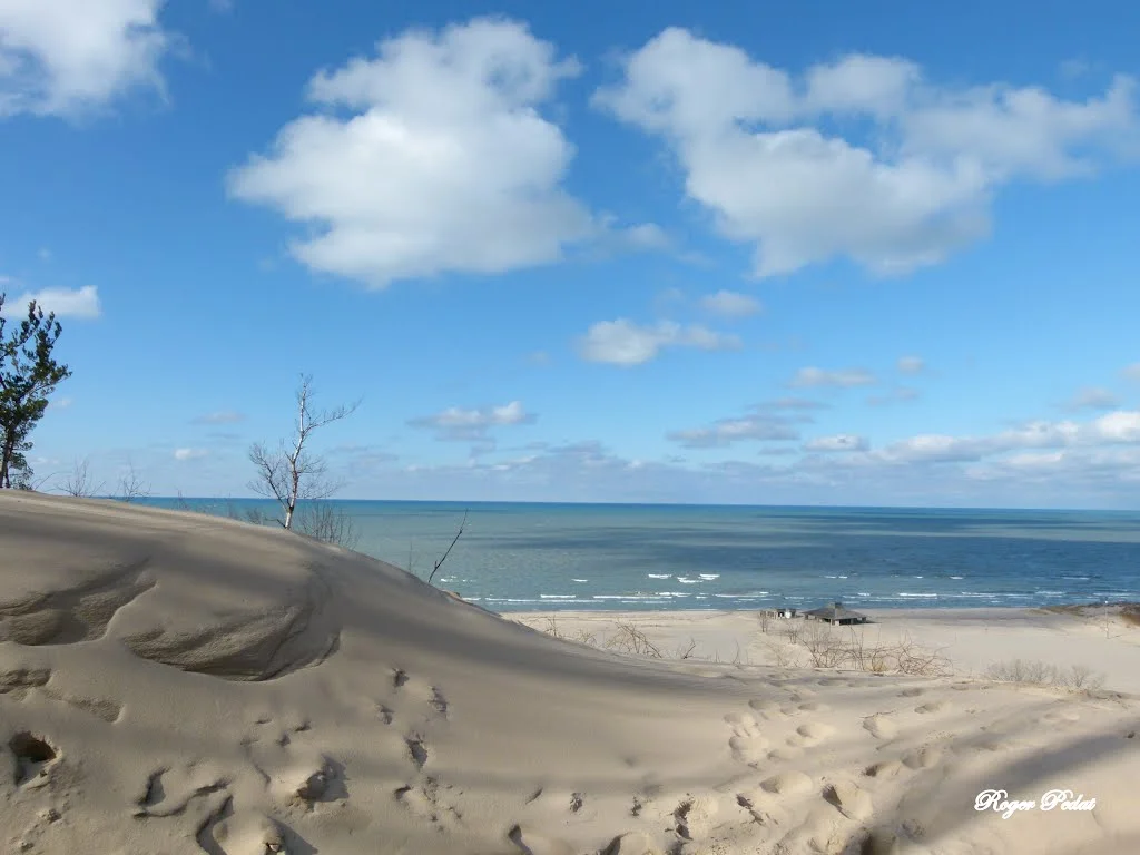 Warren Dunes State Park