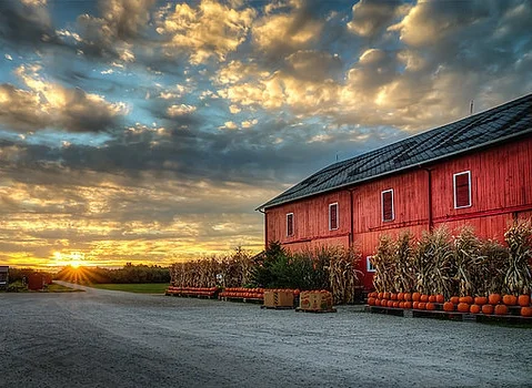 Stover's Farm Market