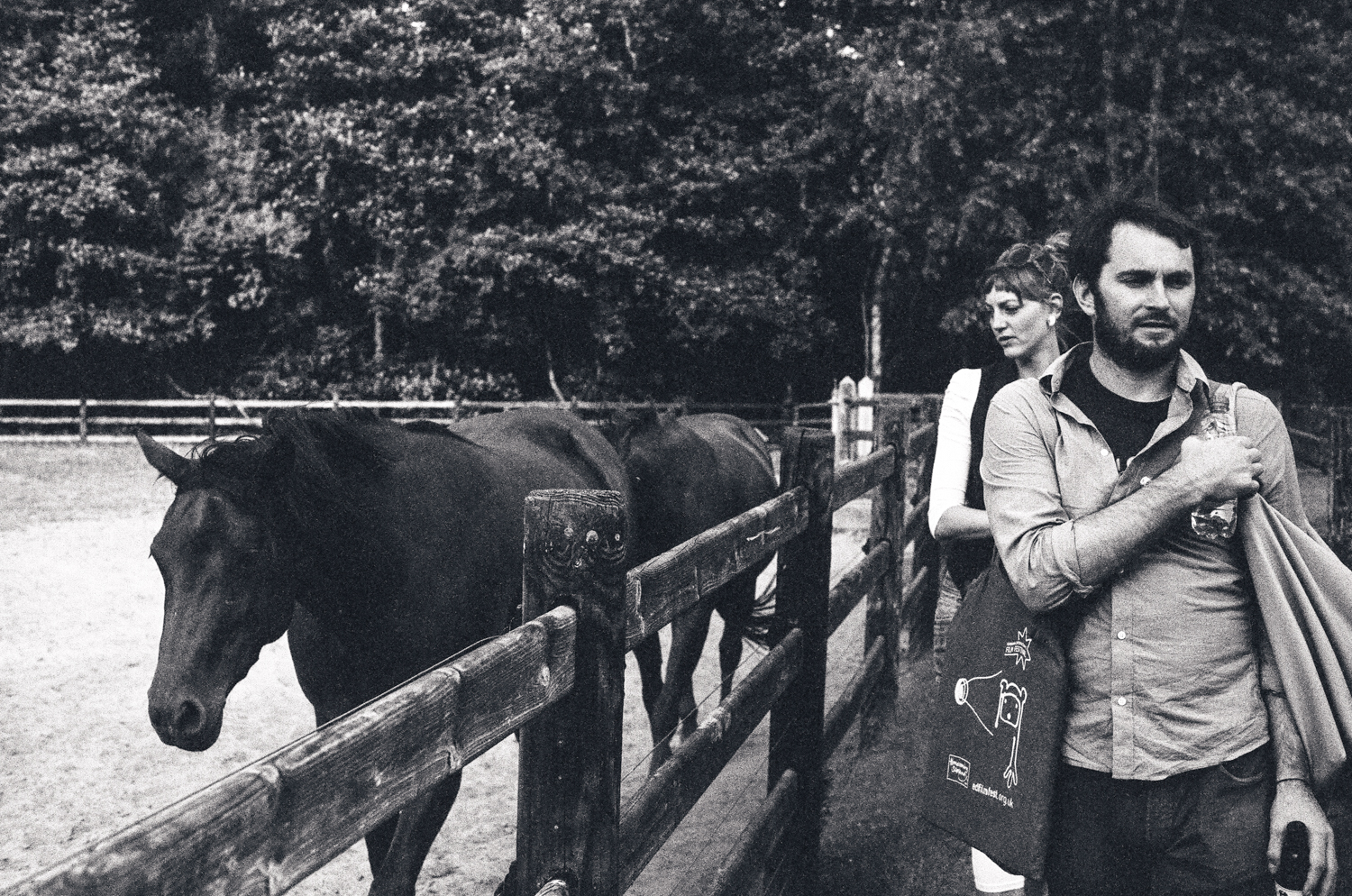 walking with horses.jpg