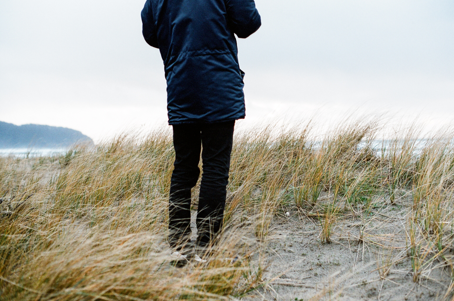 sea grass.jpg