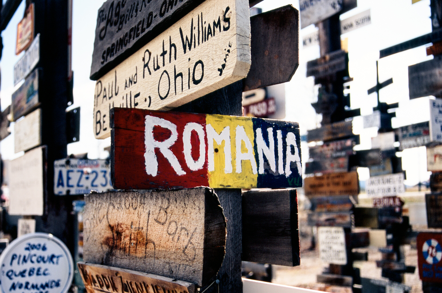 signpost forest.jpg
