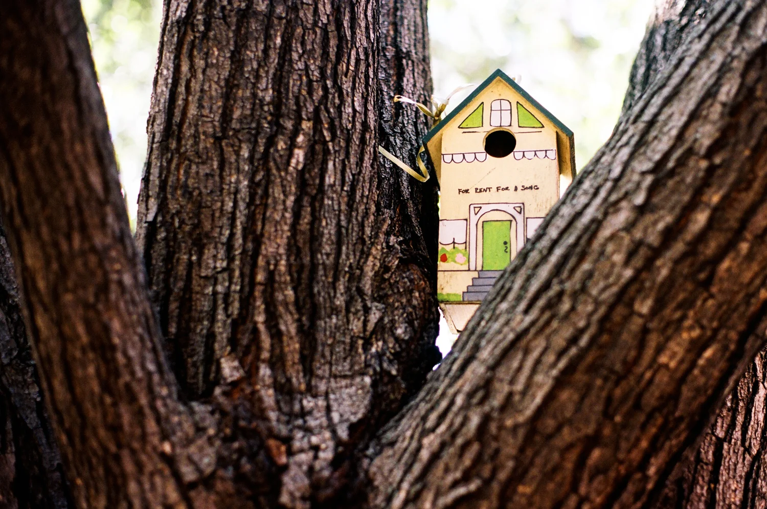 birdhouse.jpg