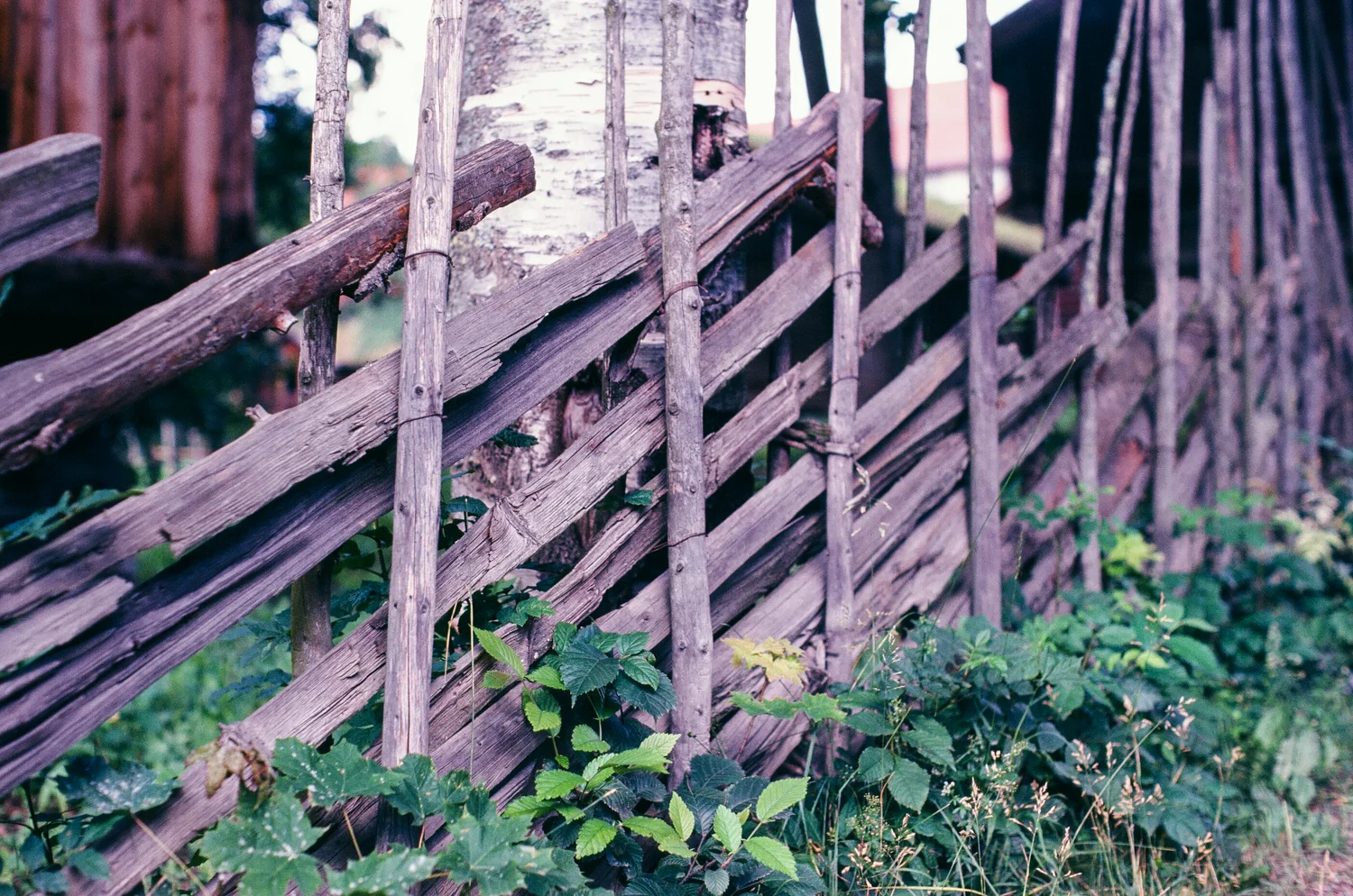 norwegian fence.jpg
