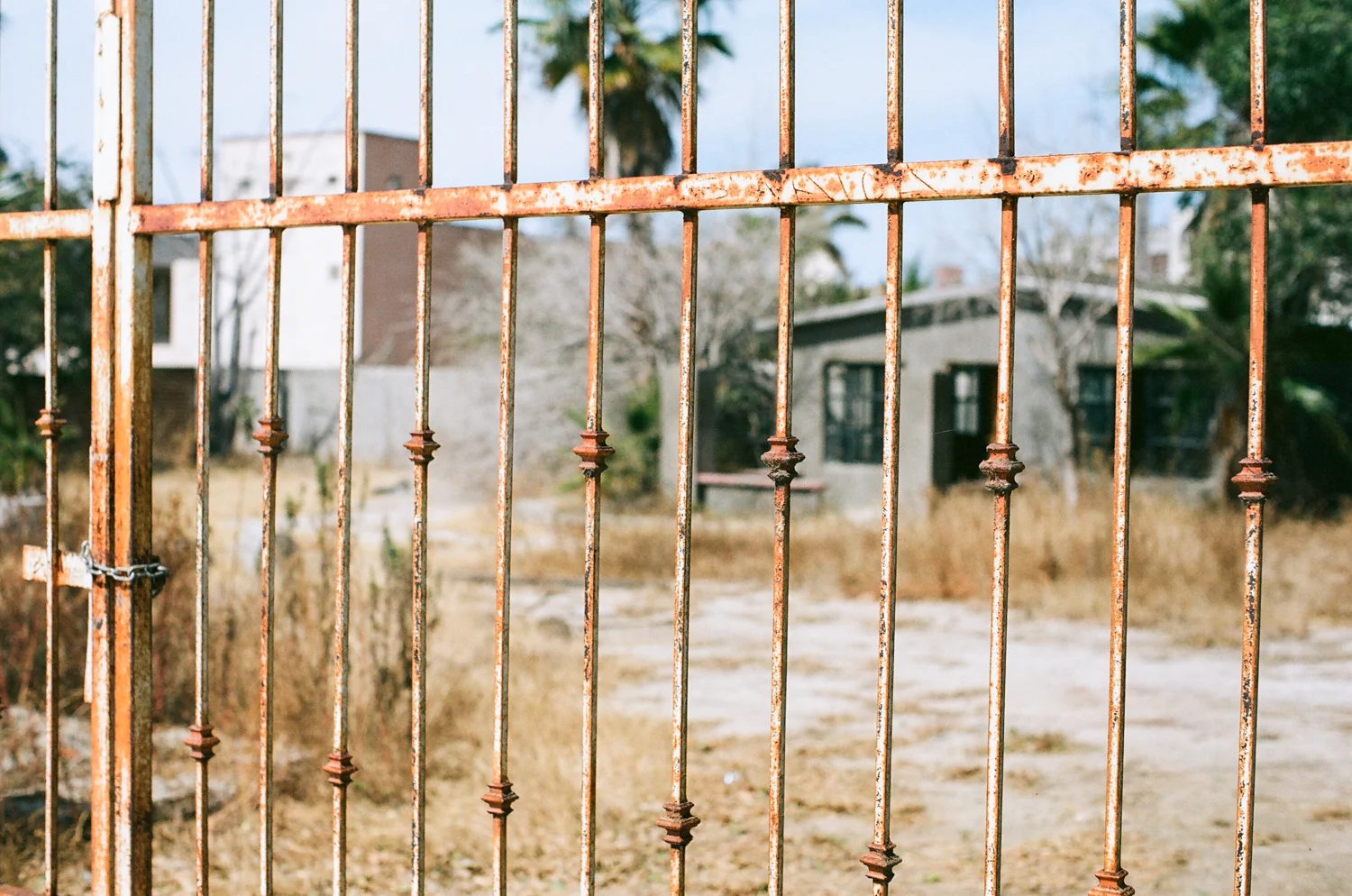 rusty fence.jpg