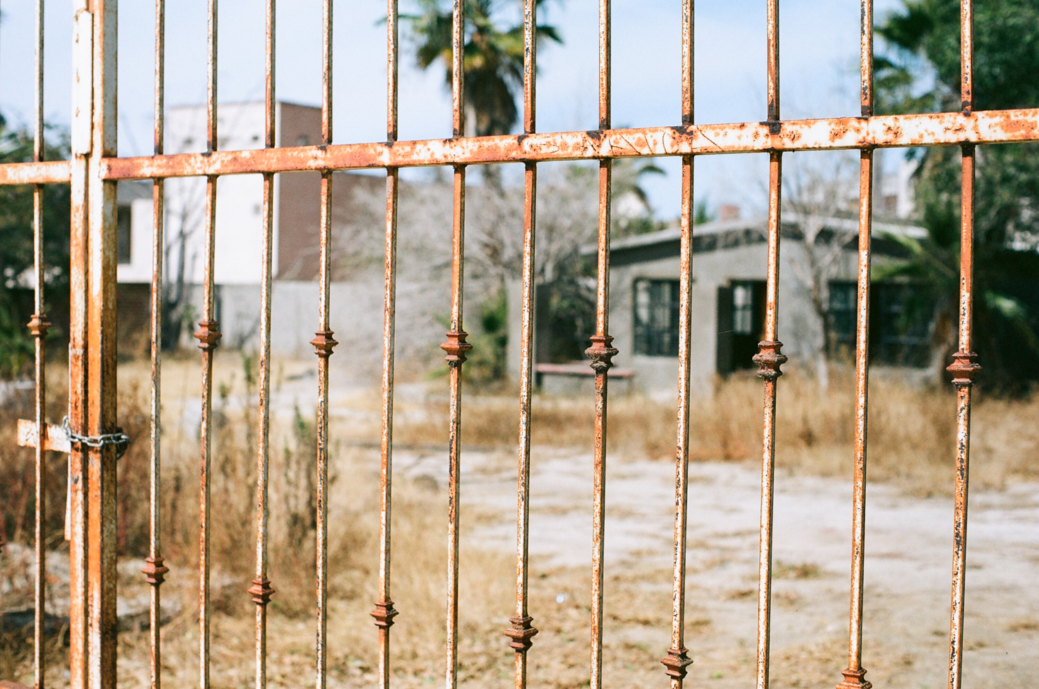 rusty fence.jpg